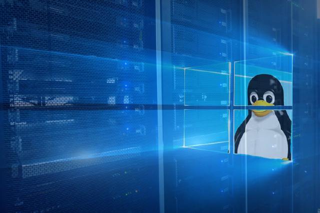 分享一个 WSL 的 IP 总是变化的解决办法的封面
