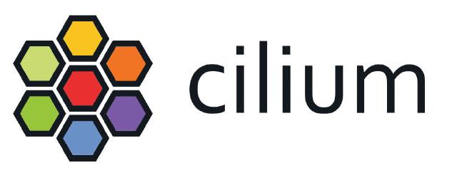 K8s 网络插件 Cilium 相关技术调研总结的封面